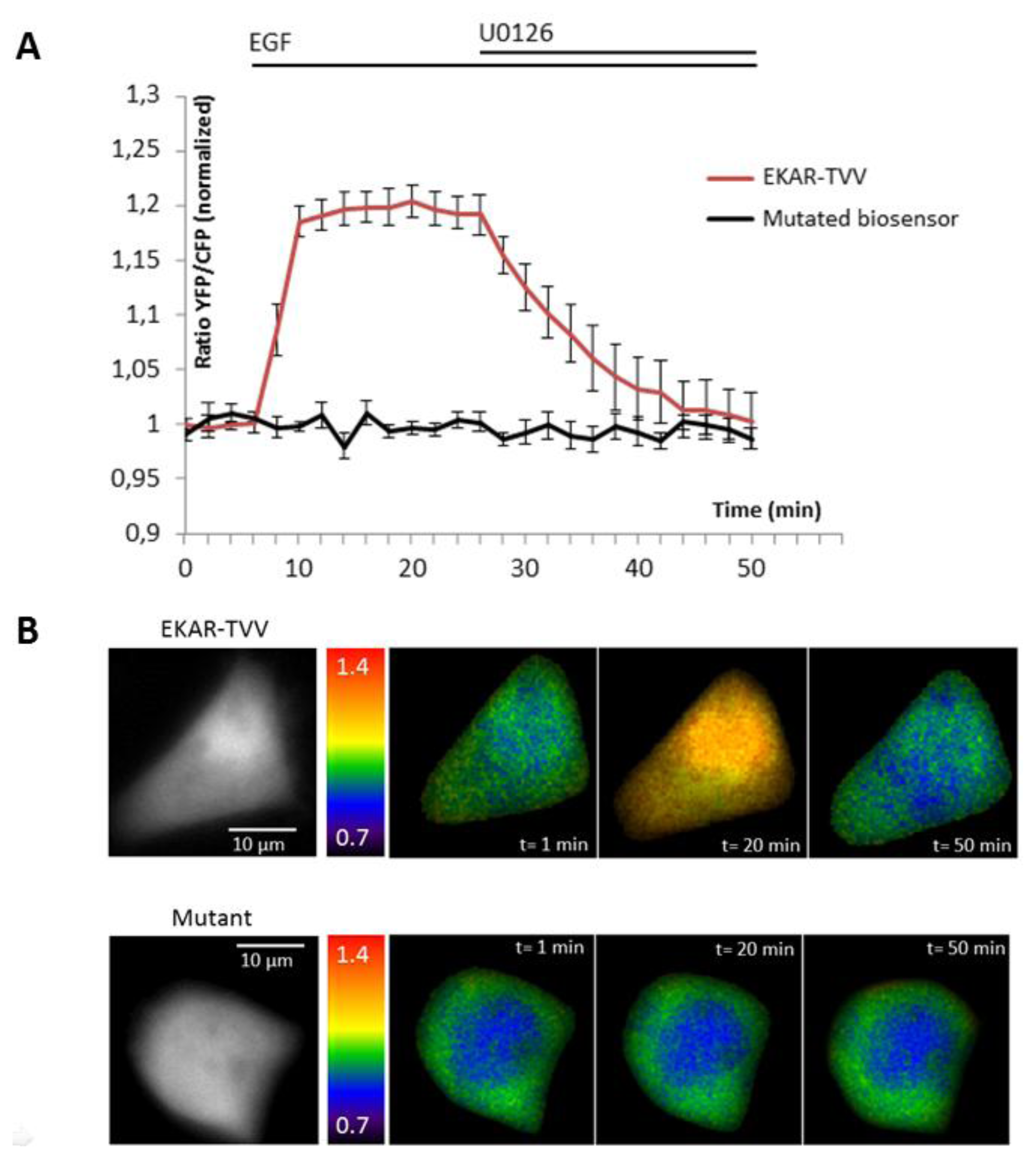 Sensors 14 01140f2 1024