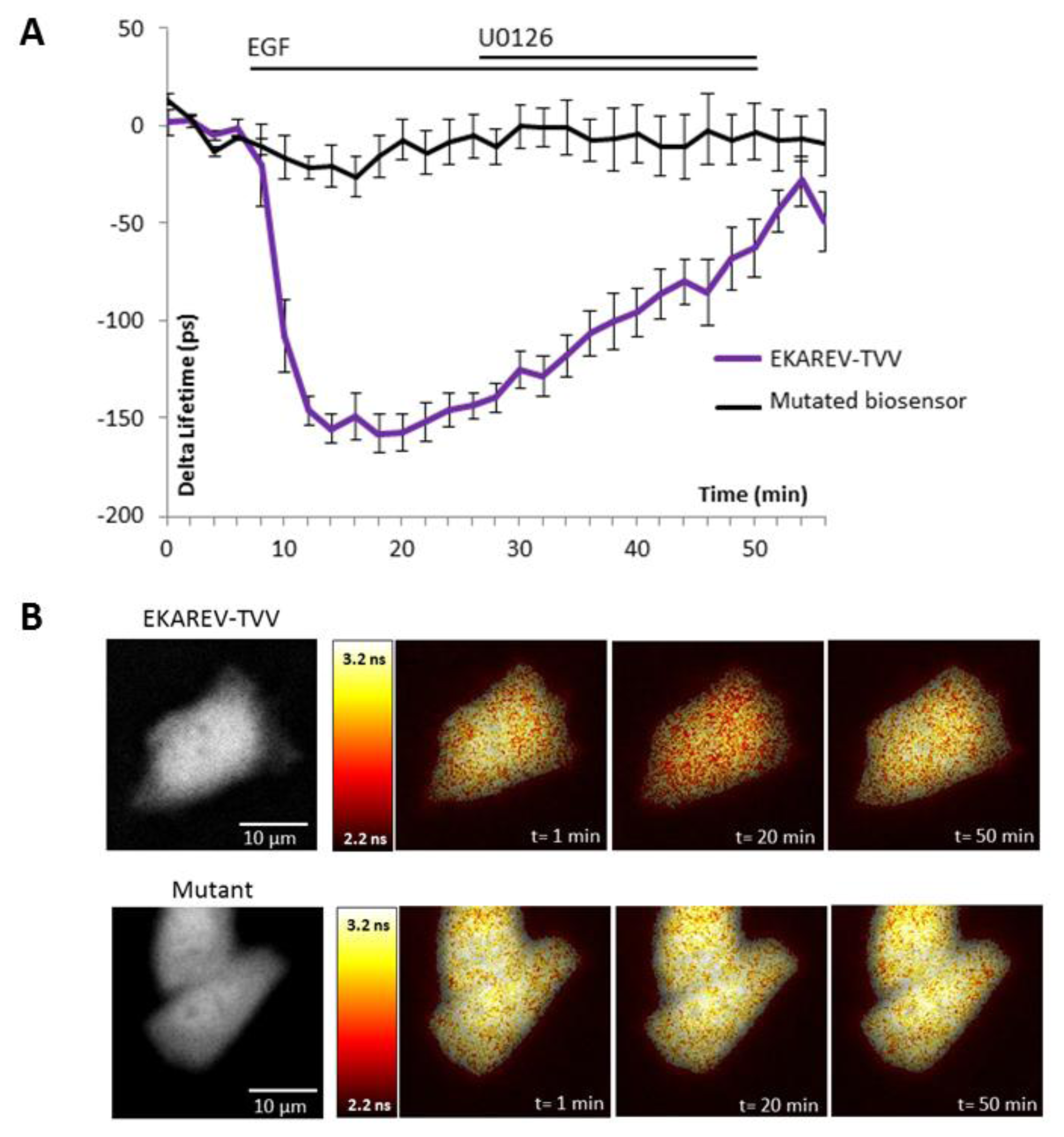 Sensors 14 01140f3 1024