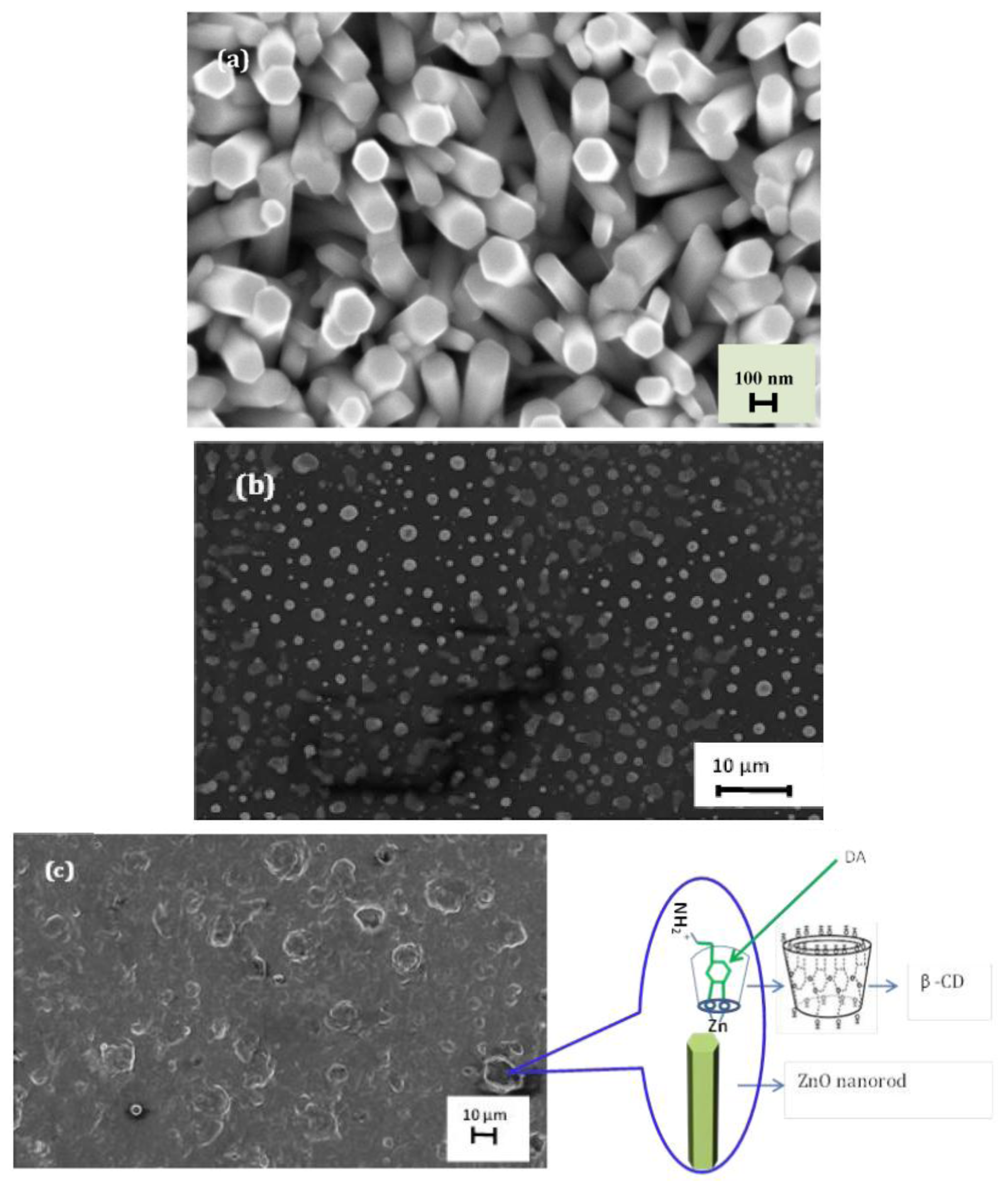 Sensors 14 01654f3 1024
