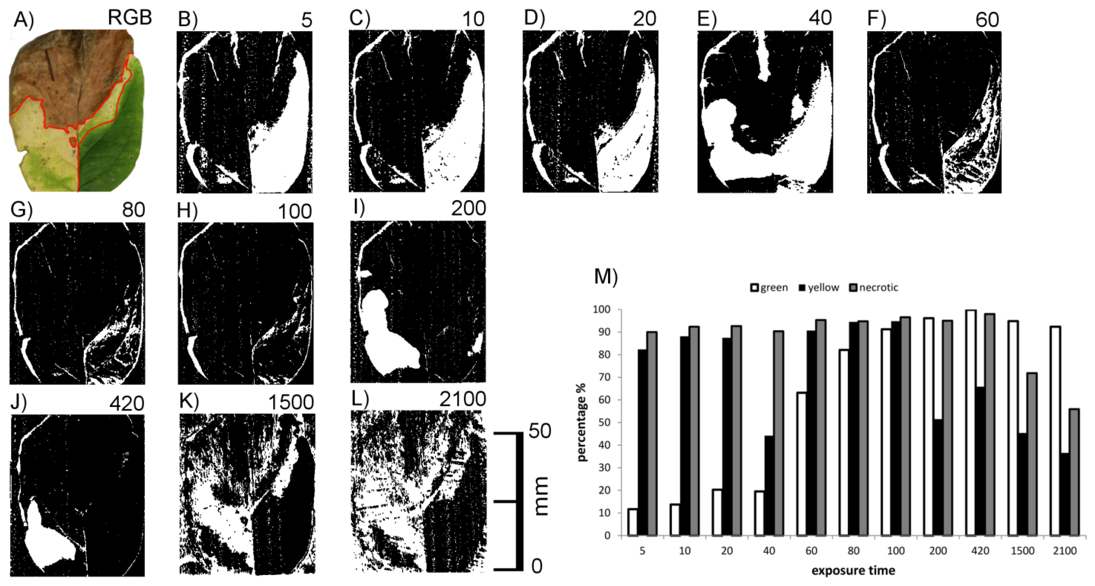 Sensors 14 02489f7 1024