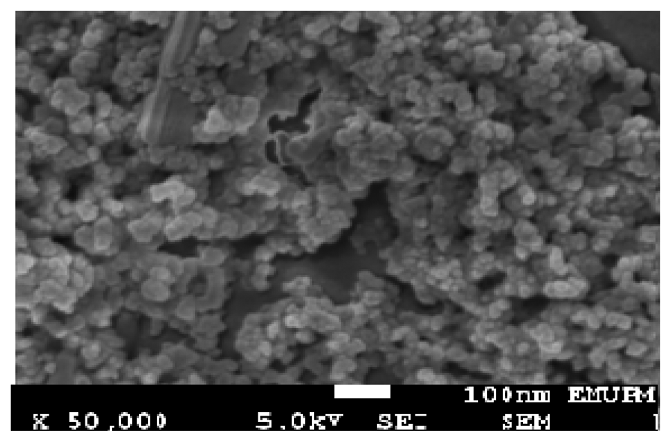 Sensors 14 02549f6 1024