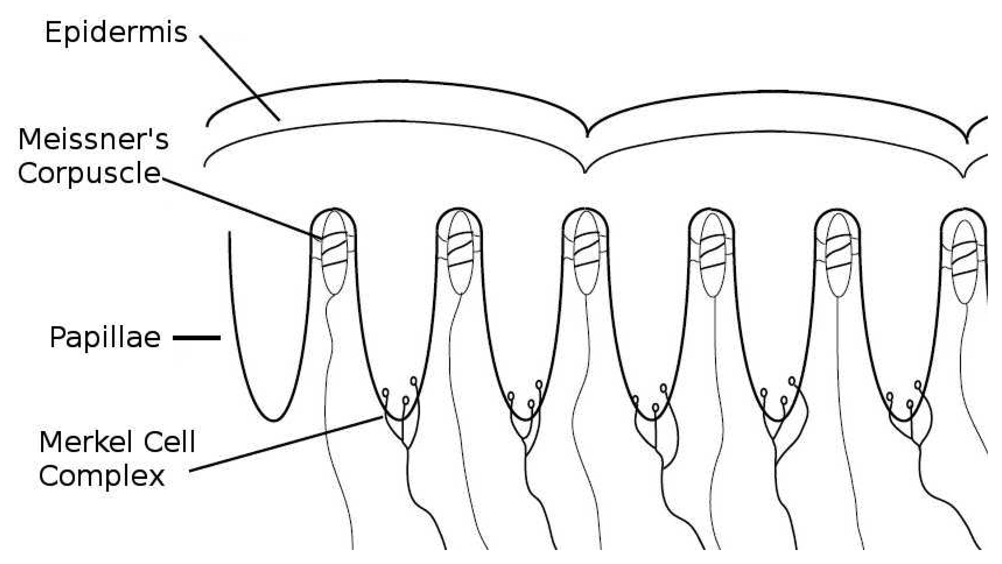 Sensors 14 02561f1 1024