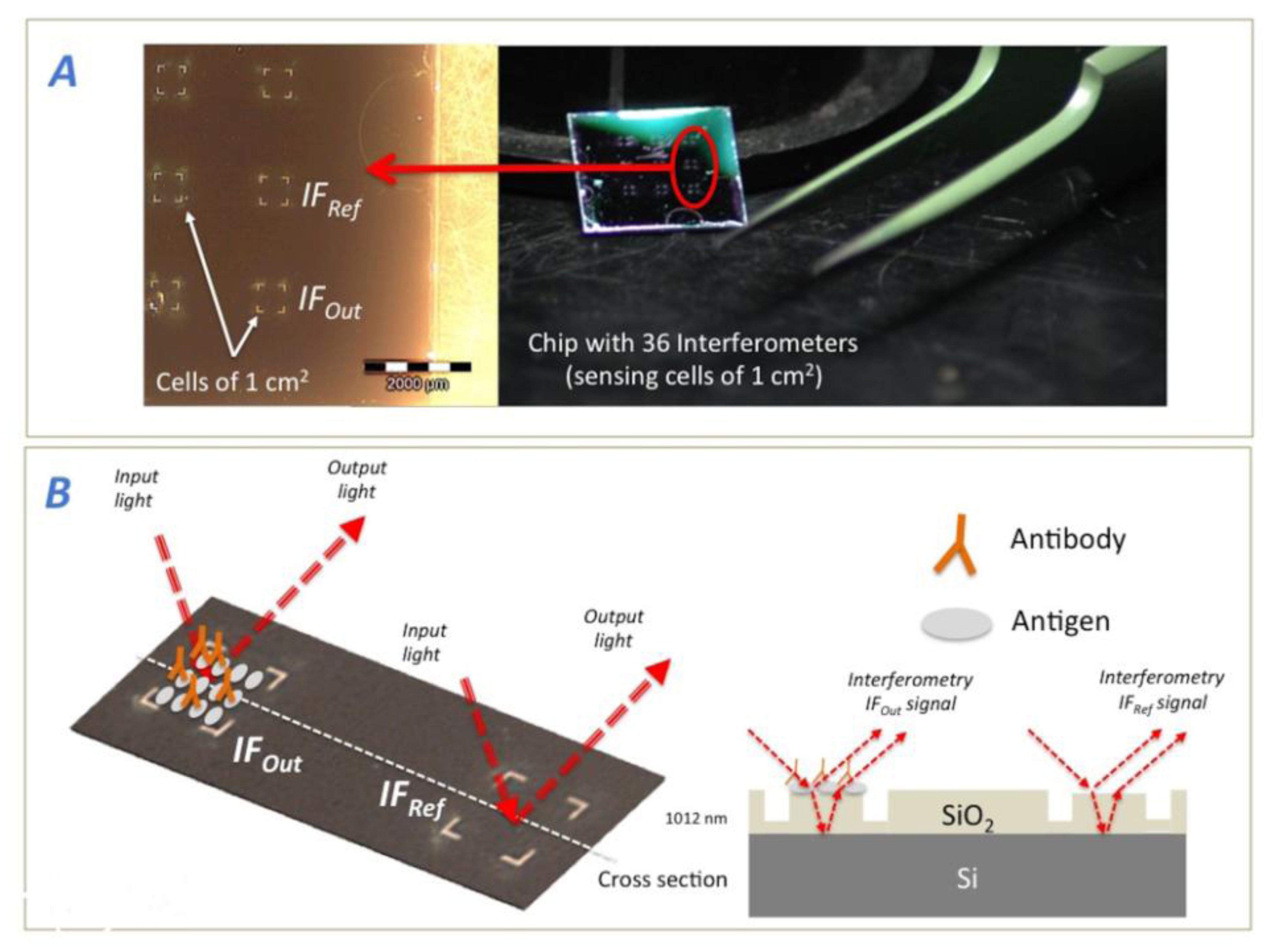 Sensors 14 03675f3 1024