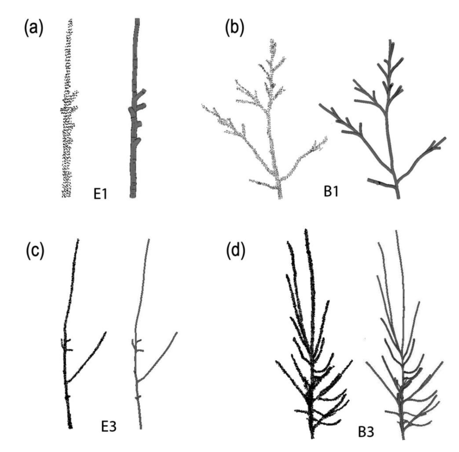 Sensors 14 04271f8 1024