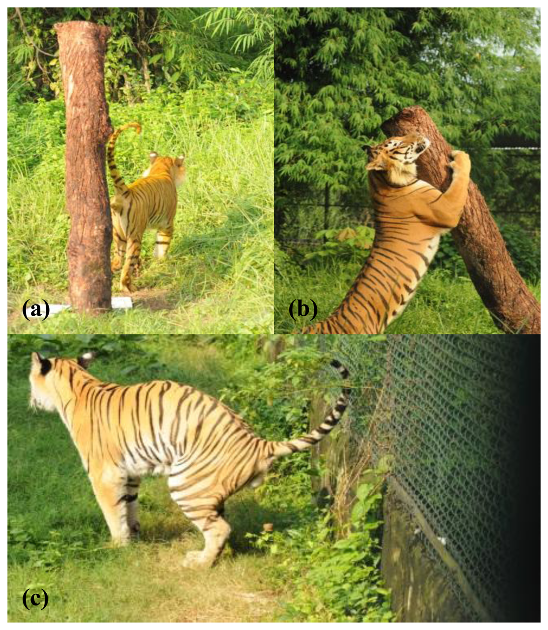 Sensors 14 04428f1 1024