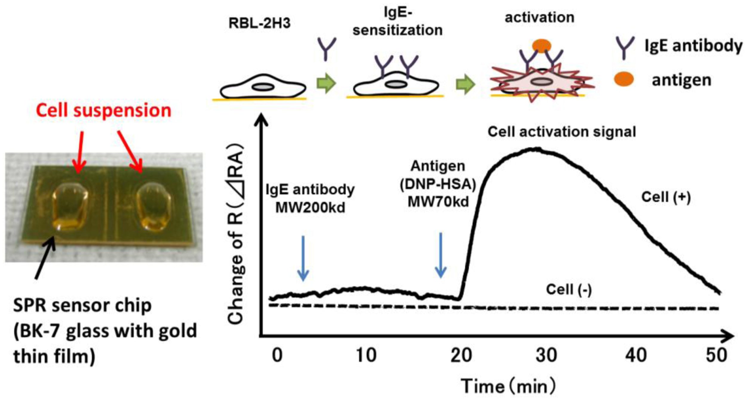 Sensors 14 04948f2 1024