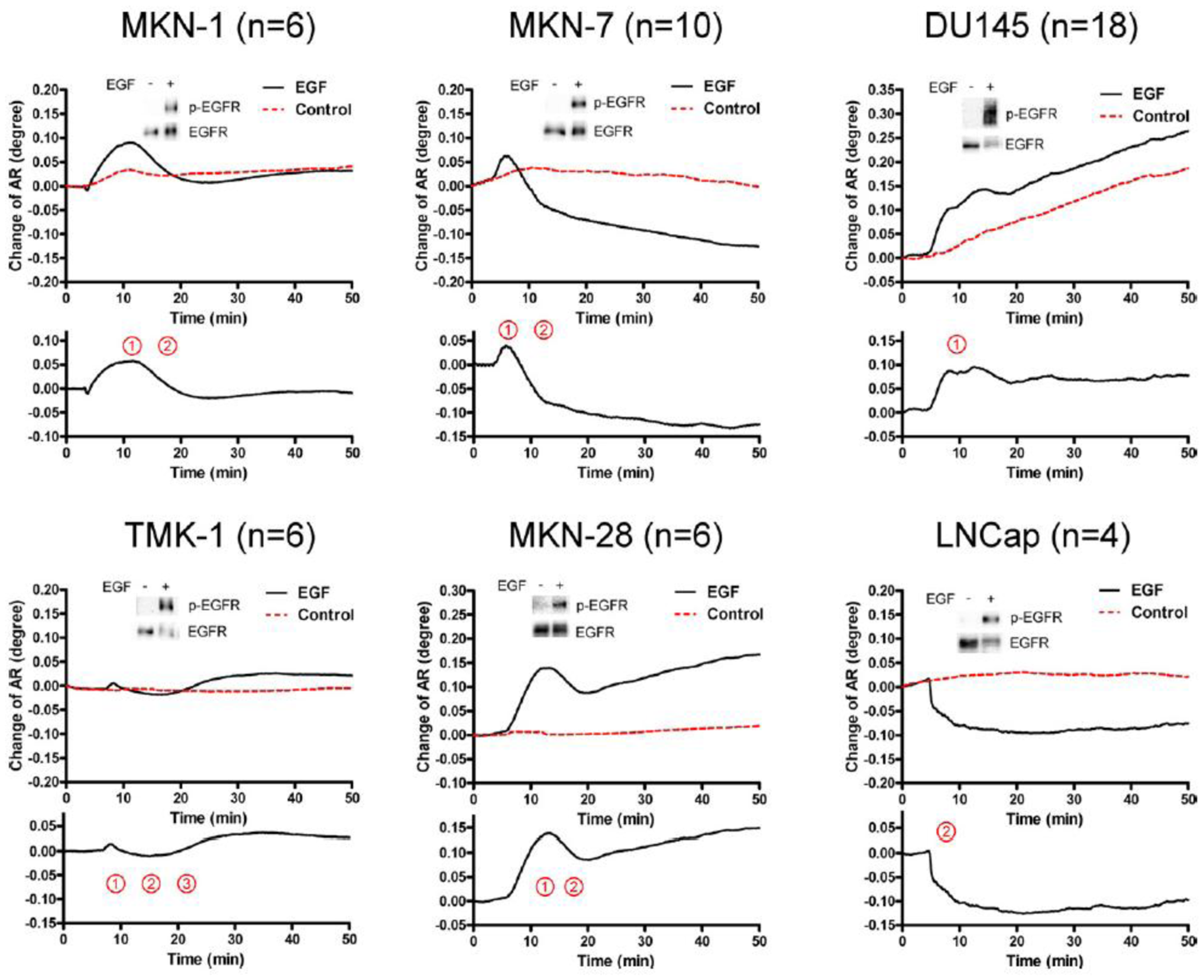 Sensors 14 04948f3 1024
