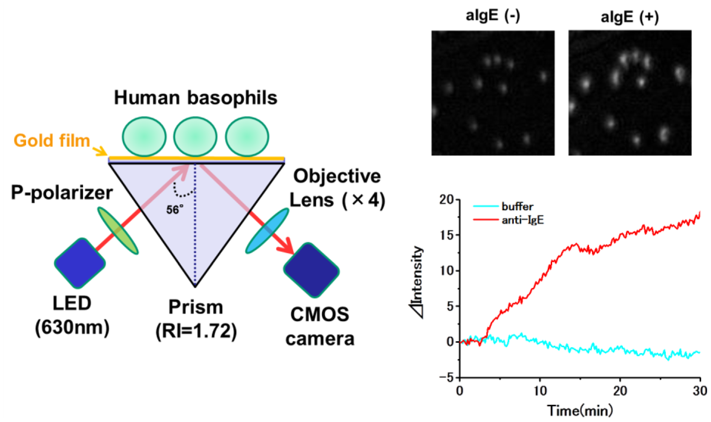 Sensors 14 04948f5 1024