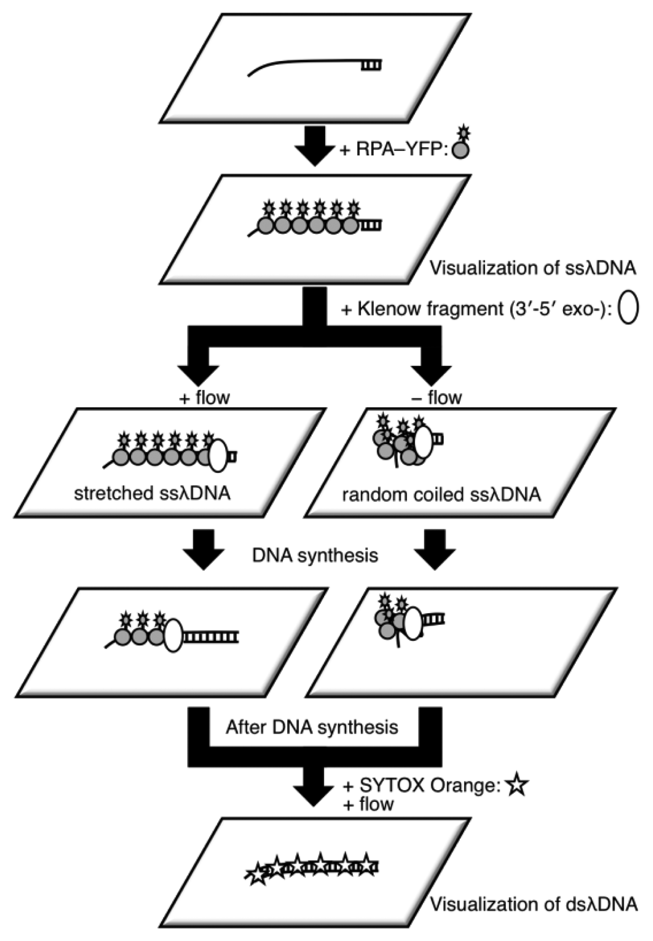 Sensors 14 05174f2 1024
