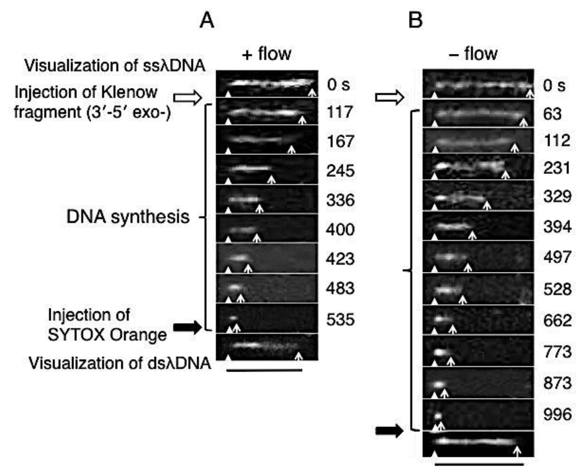 Sensors 14 05174f3 1024