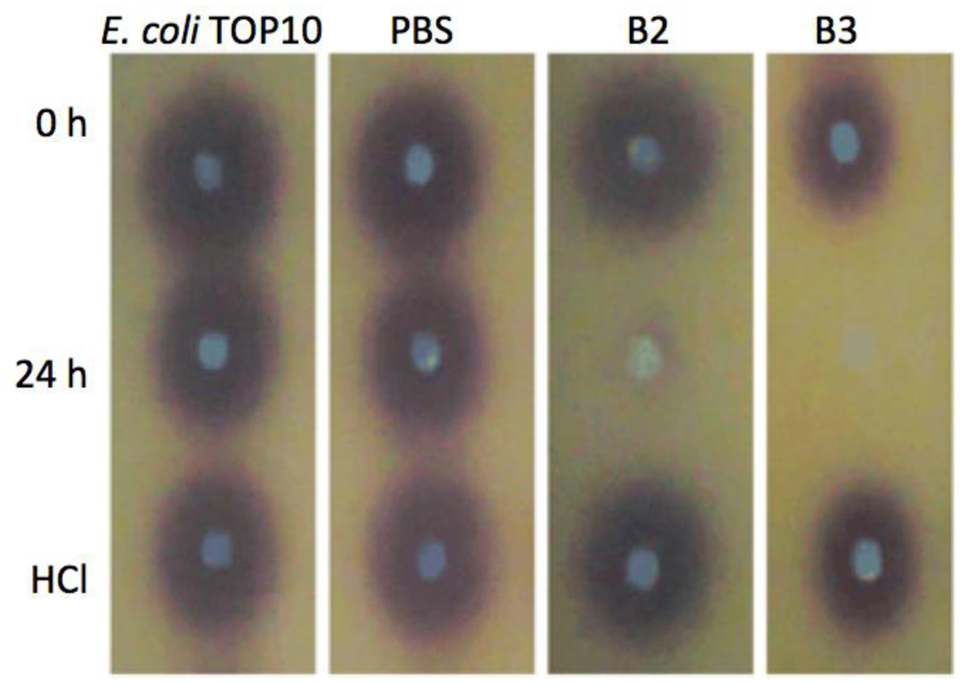 Sensors 14 06463f6 1024