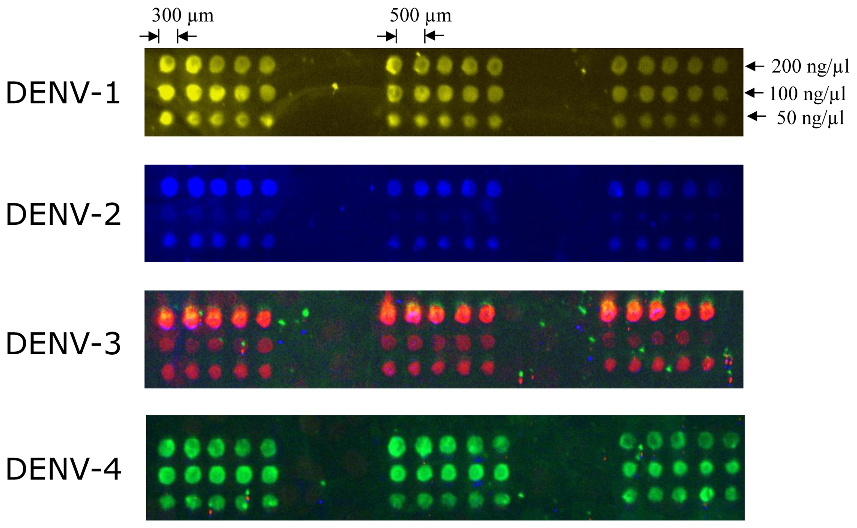 Sensors 14 07580f2 1024