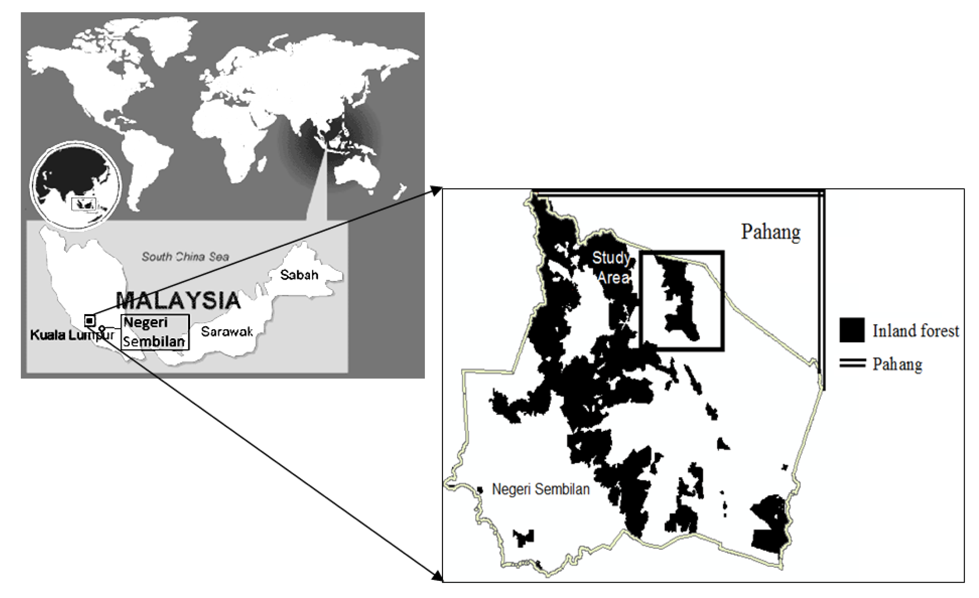 Sensors 14 08259f2 1024