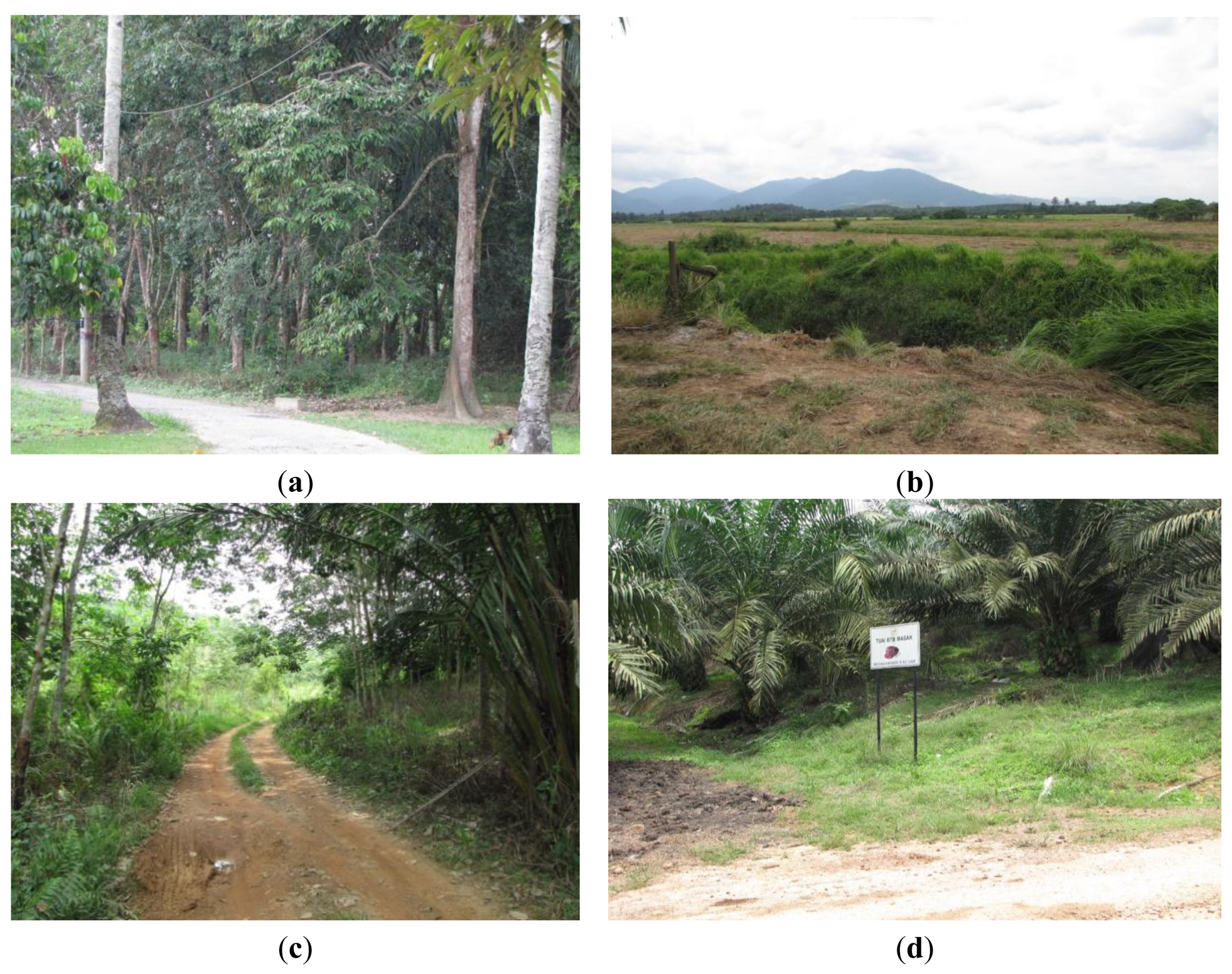 Sensors 14 08259f3 1024