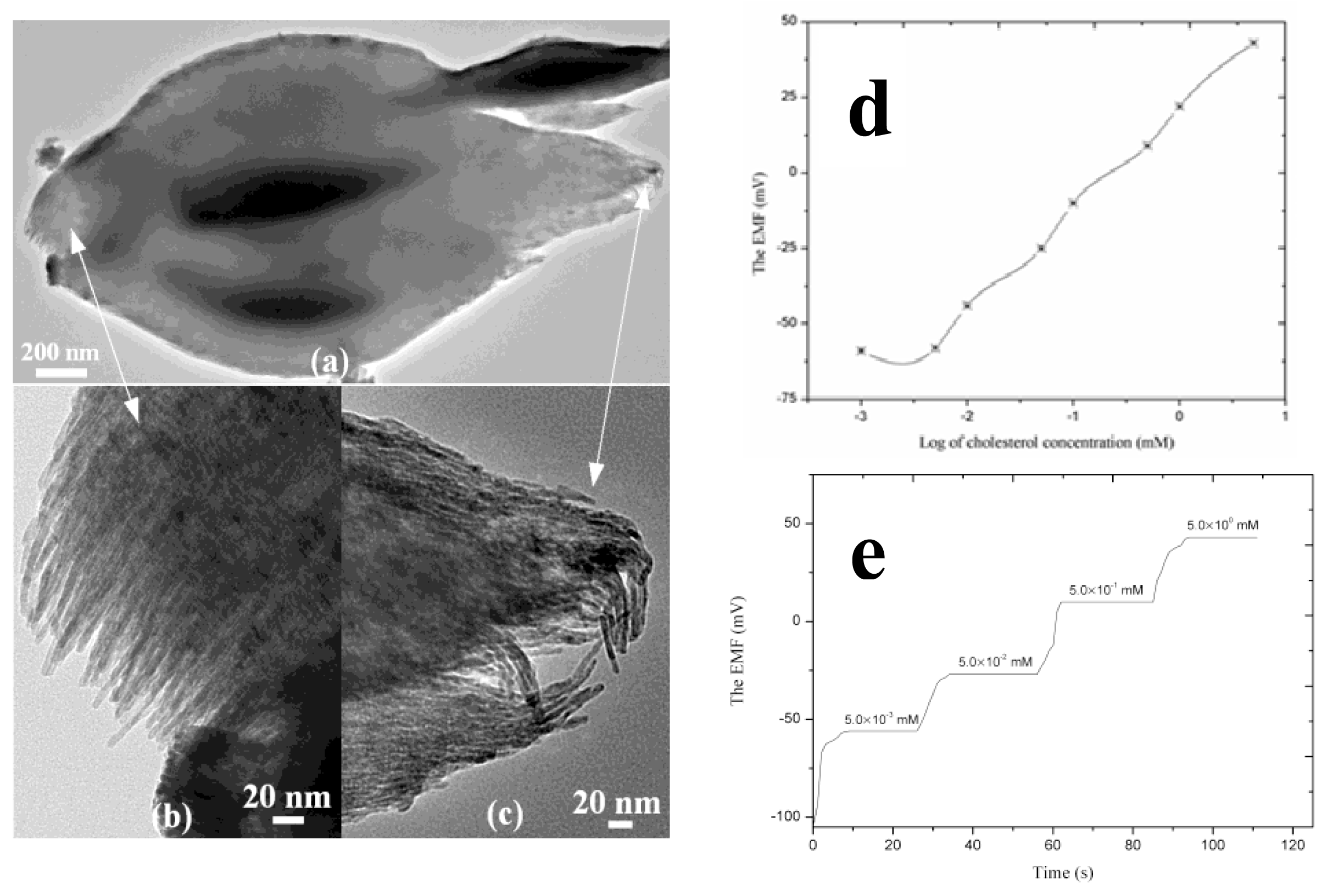 Sensors 14 08605f10 1024