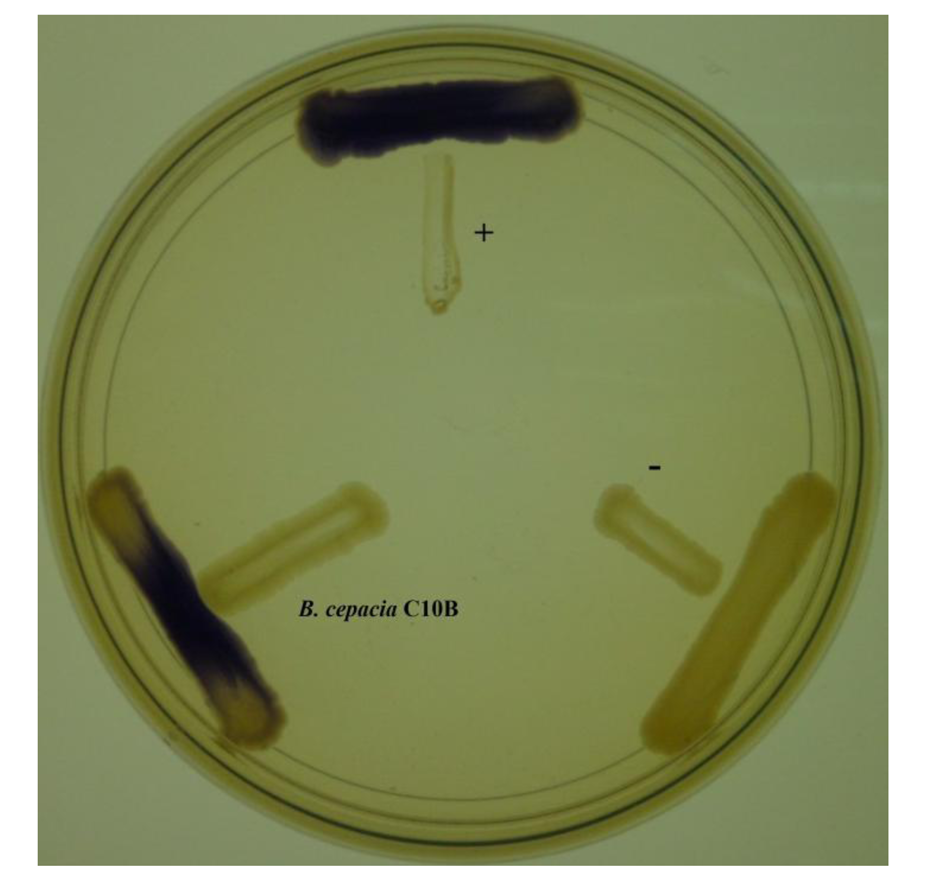 Sensors 14 08940f1 1024