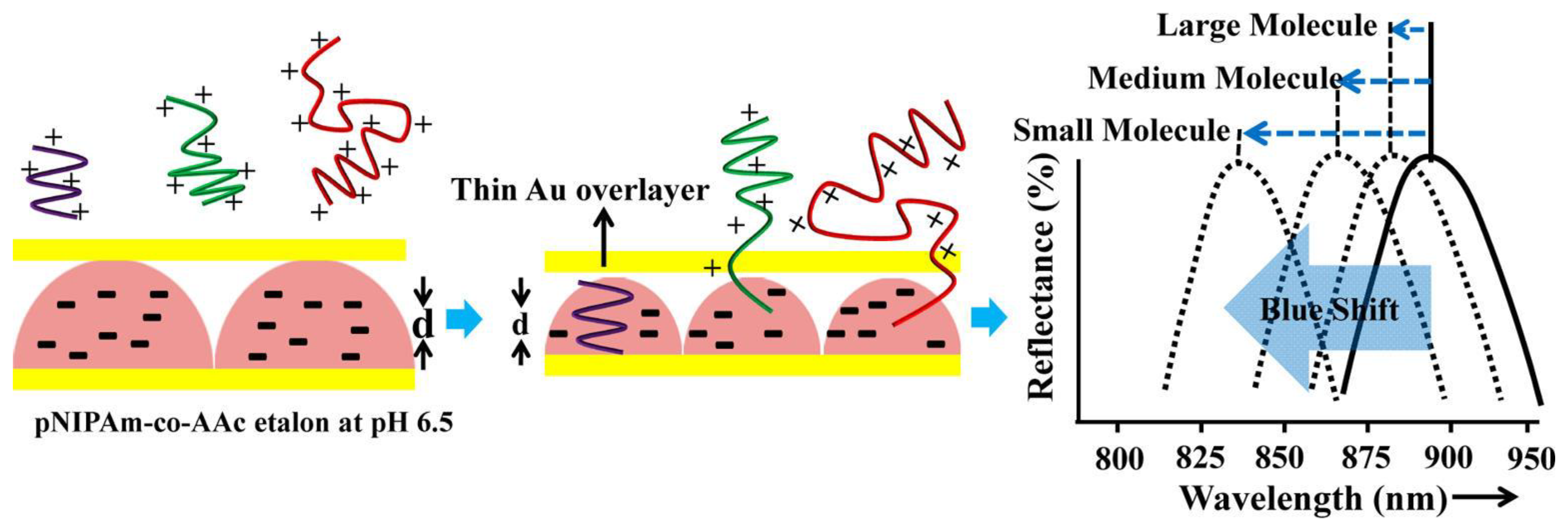 Sensors 14 08984f7 1024