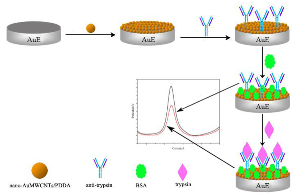 Sensors Free FullText Application of an Electrochemical
