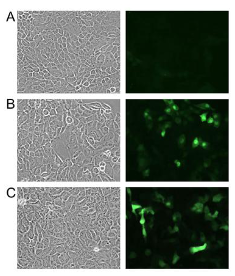 Sensors 14 11293f4 1024