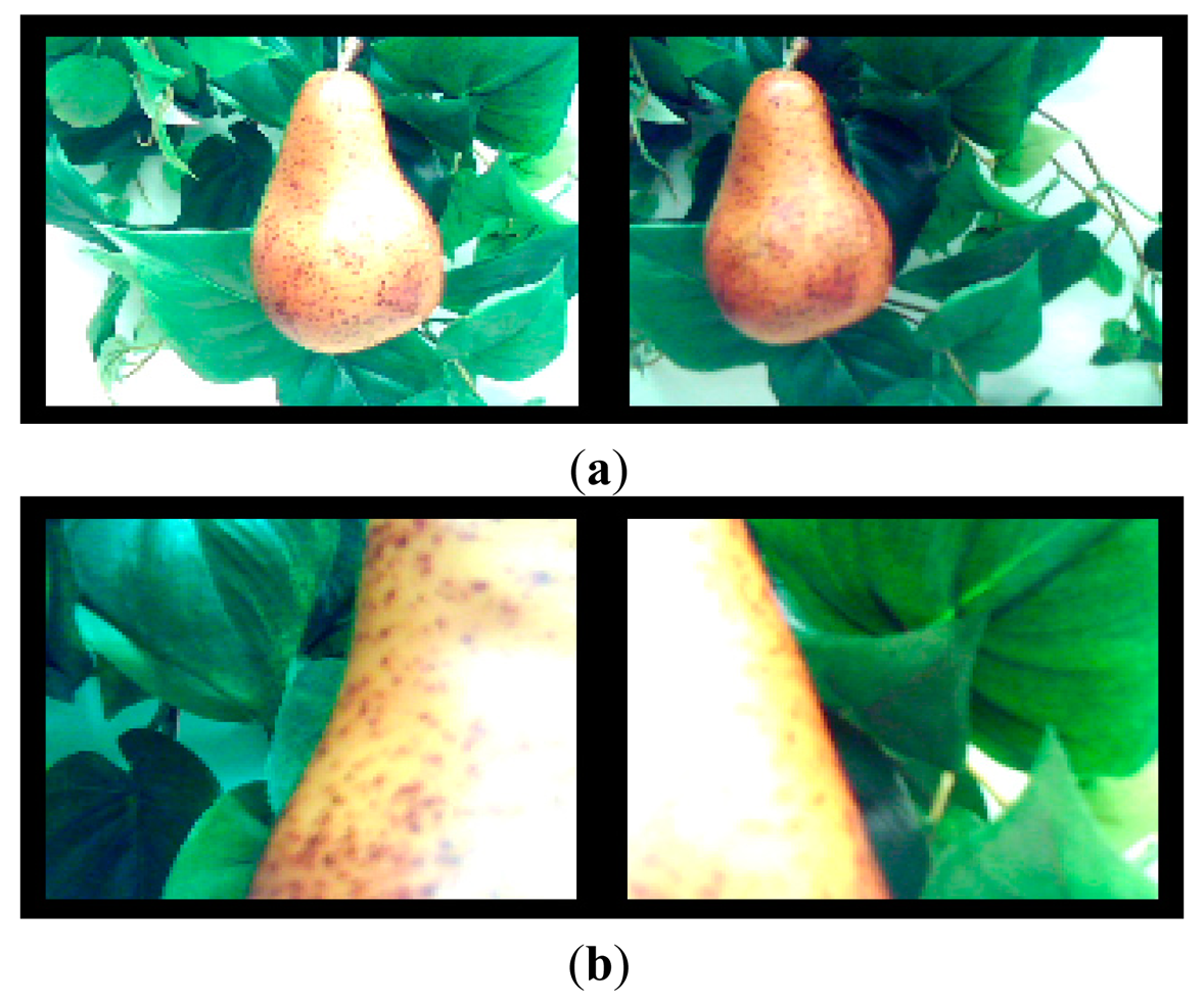 Sensors 14 11557f14 1024