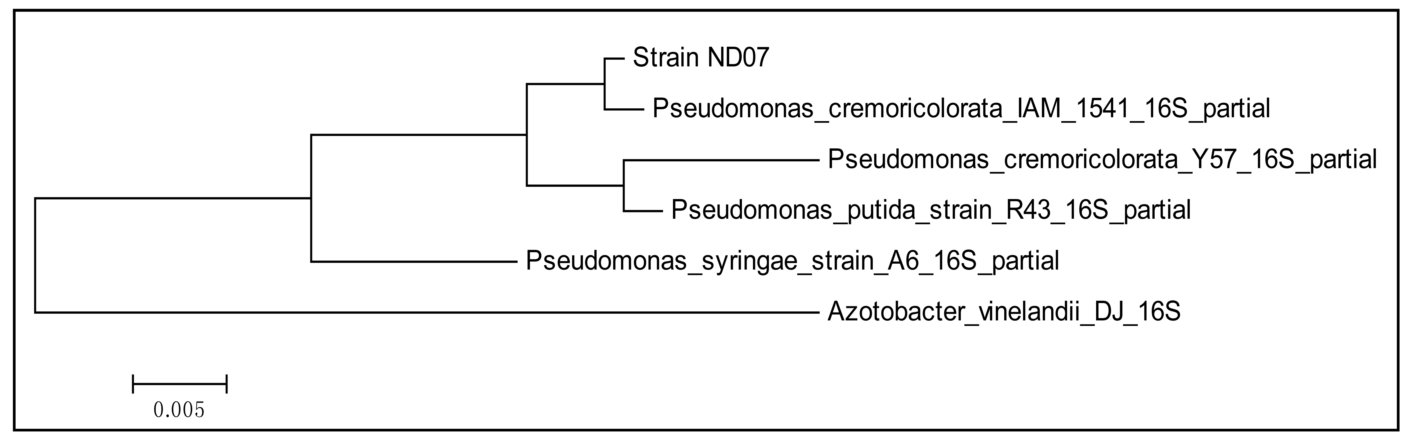 Sensors 14 11595f1 1024