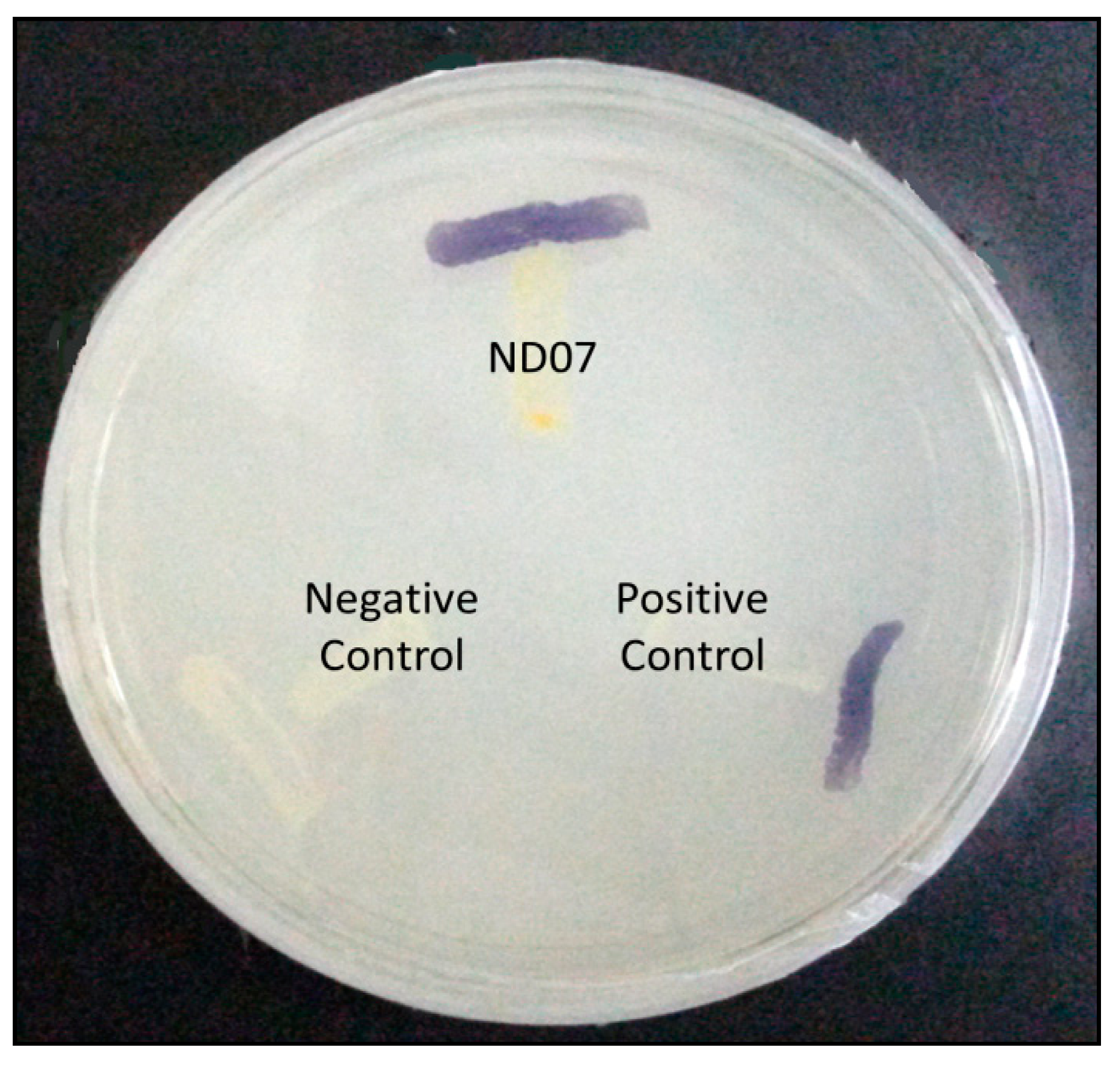 Sensors 14 11595f2 1024