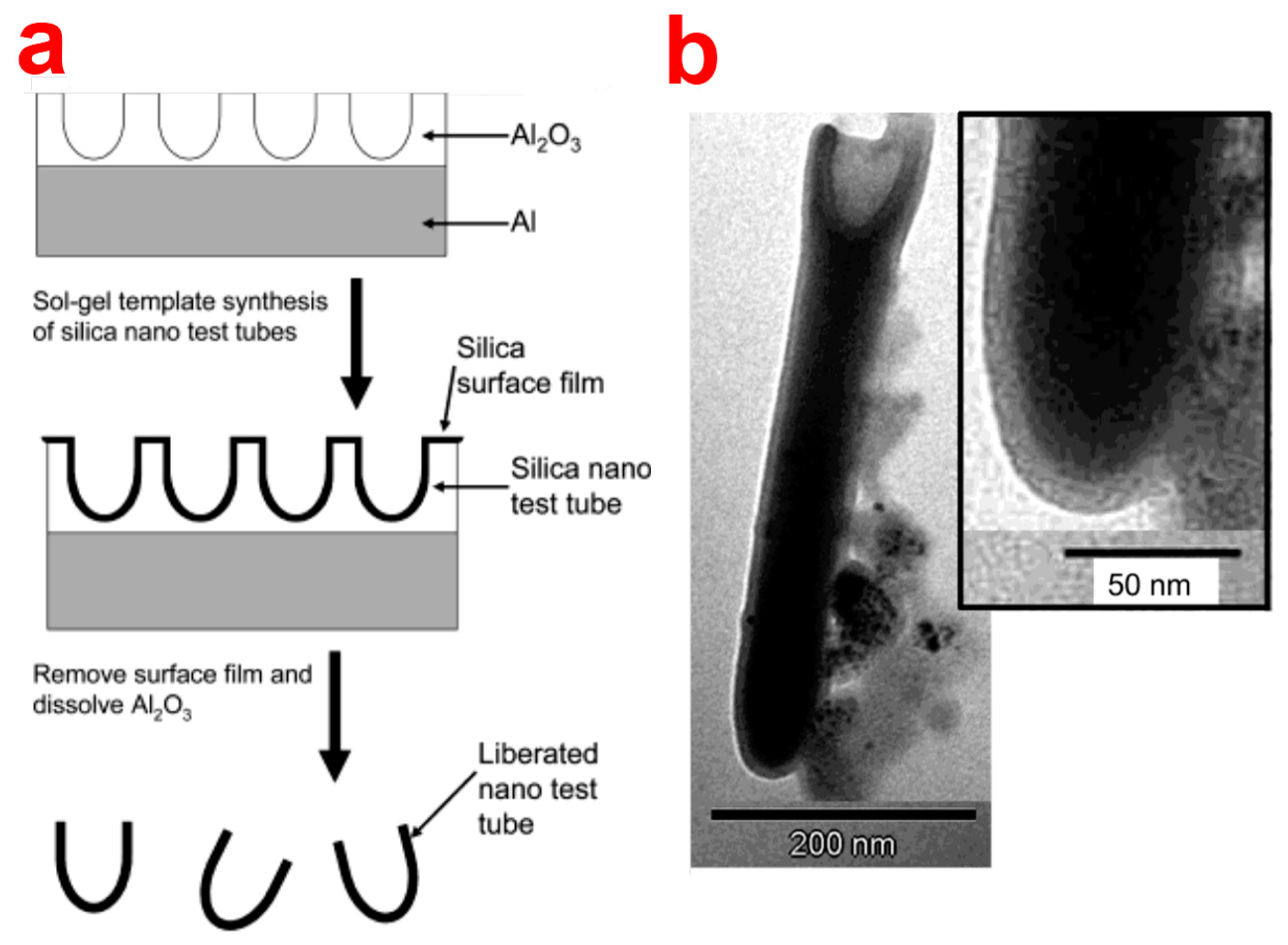 Sensors 14 11878f13 1024