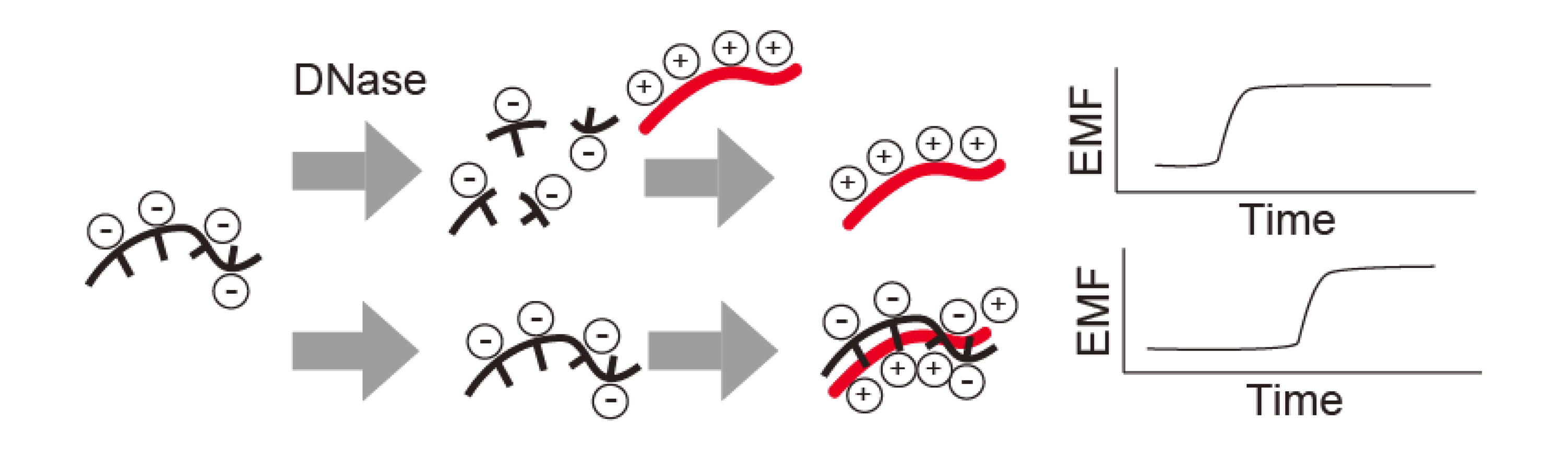 Sensors 14 12437f5 1024