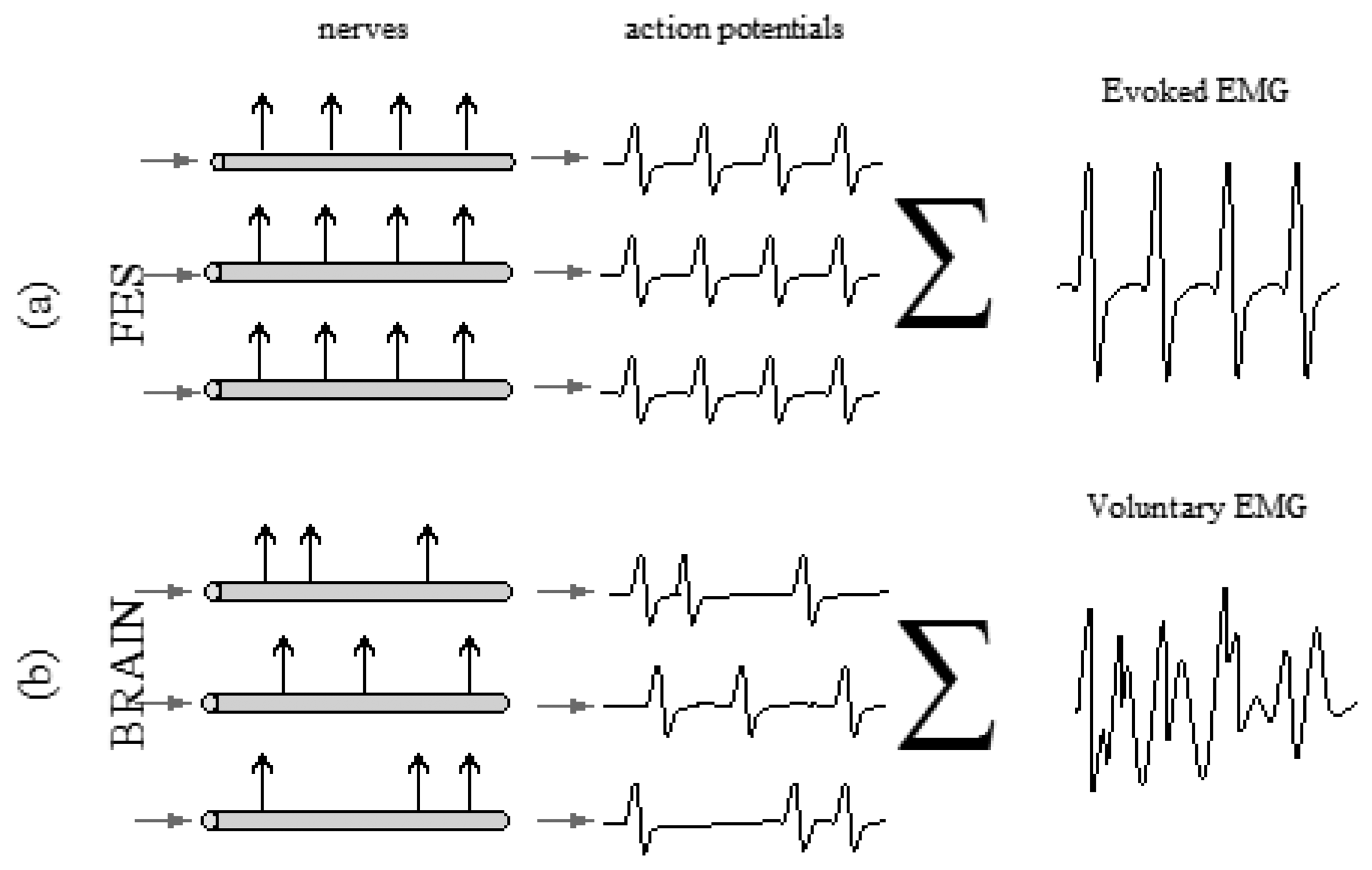 Sensors 14 12598f4 1024