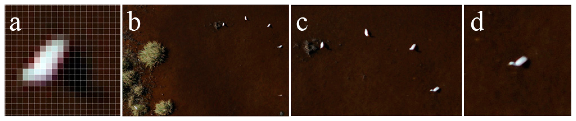 Sensors 14 12828f7 1024