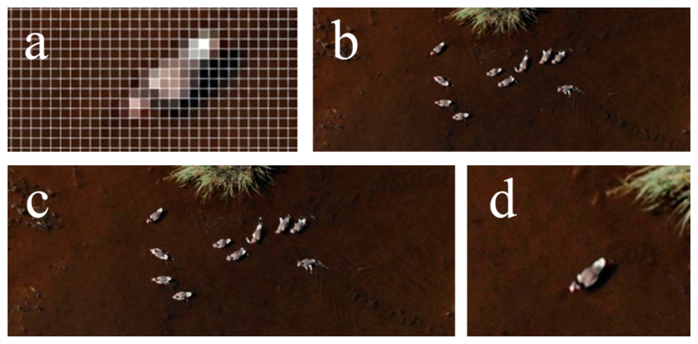 Sensors 14 12828f9 1024
