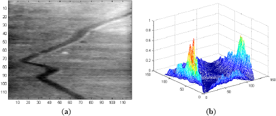 Sensors 14 13437f6 1024