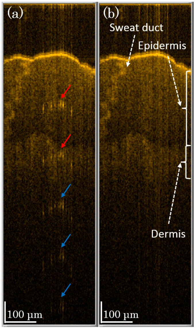 Sensors 14 13548f6 1024