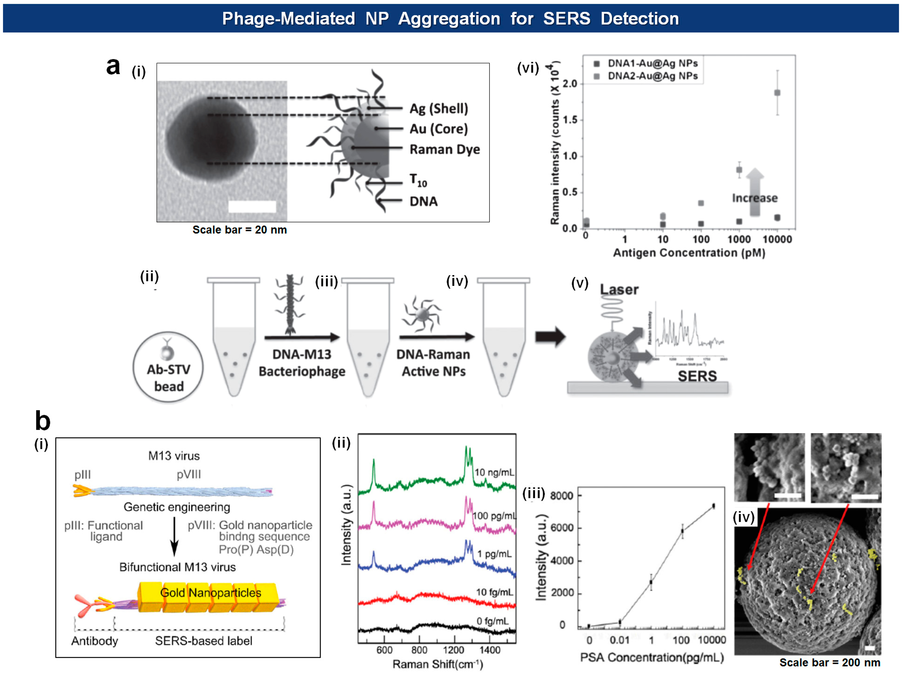 Sensors 14 13592f10 1024