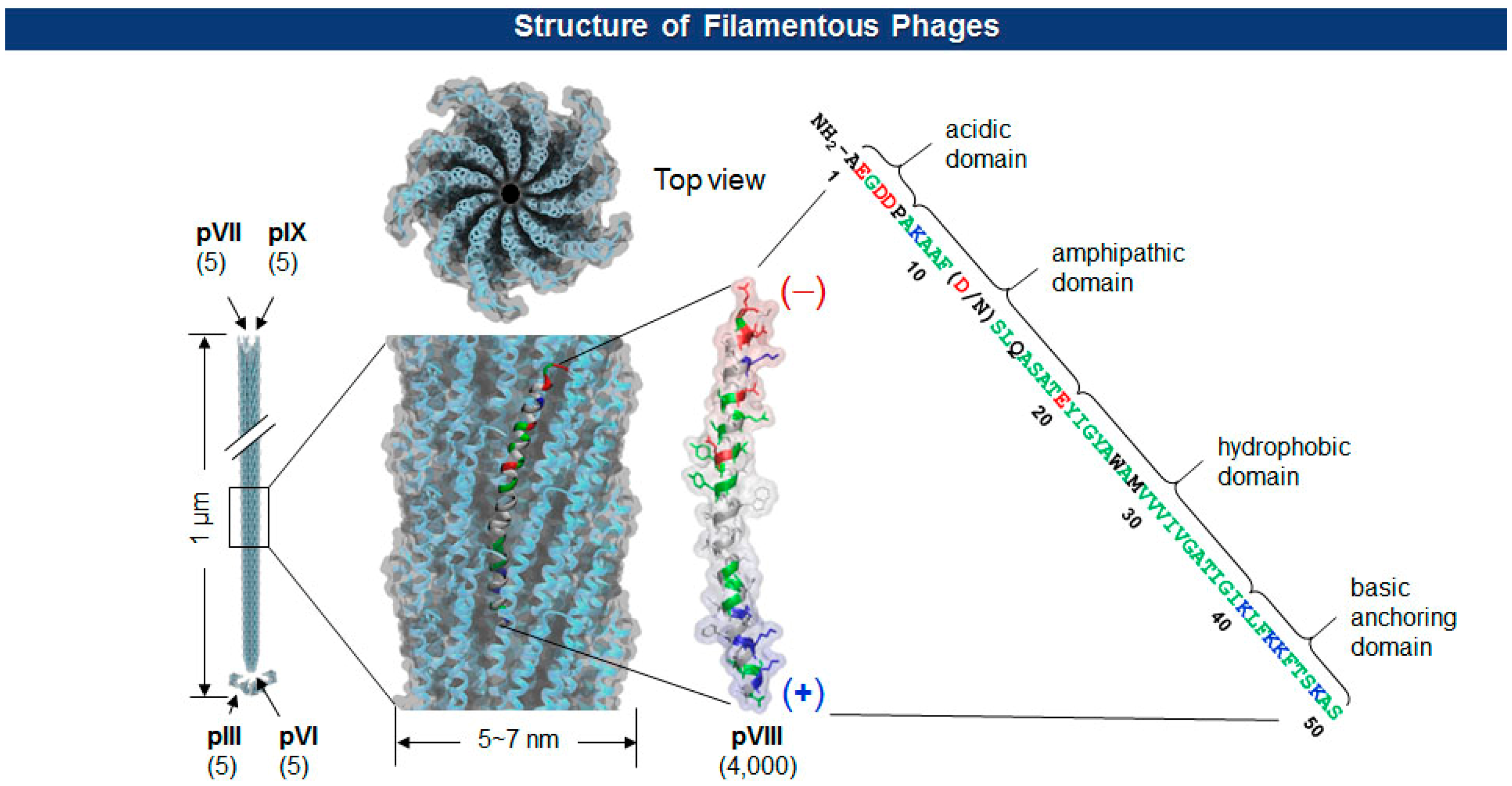 Sensors 14 13592f2 1024