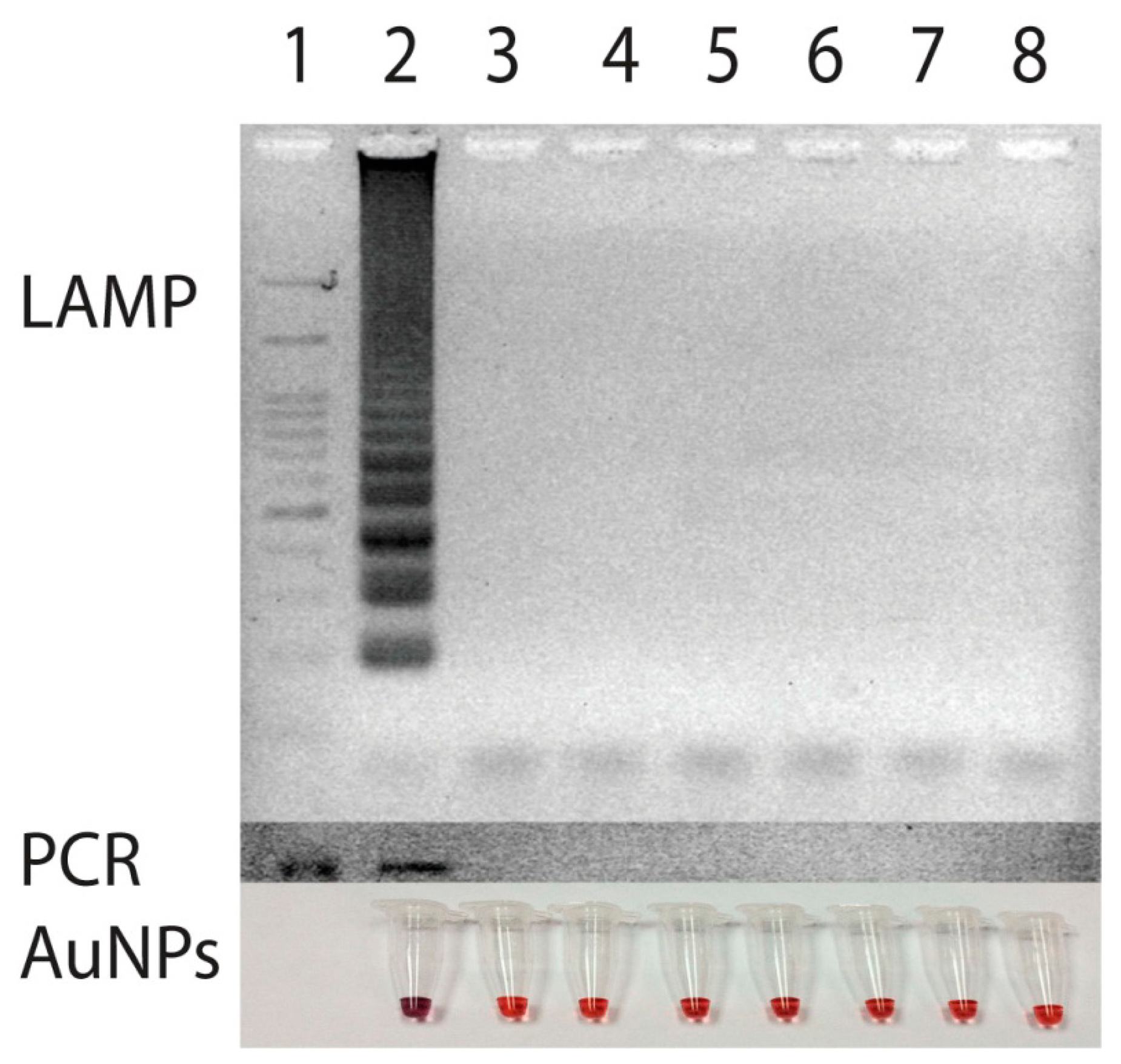 Sensors 14 14472f4 1024
