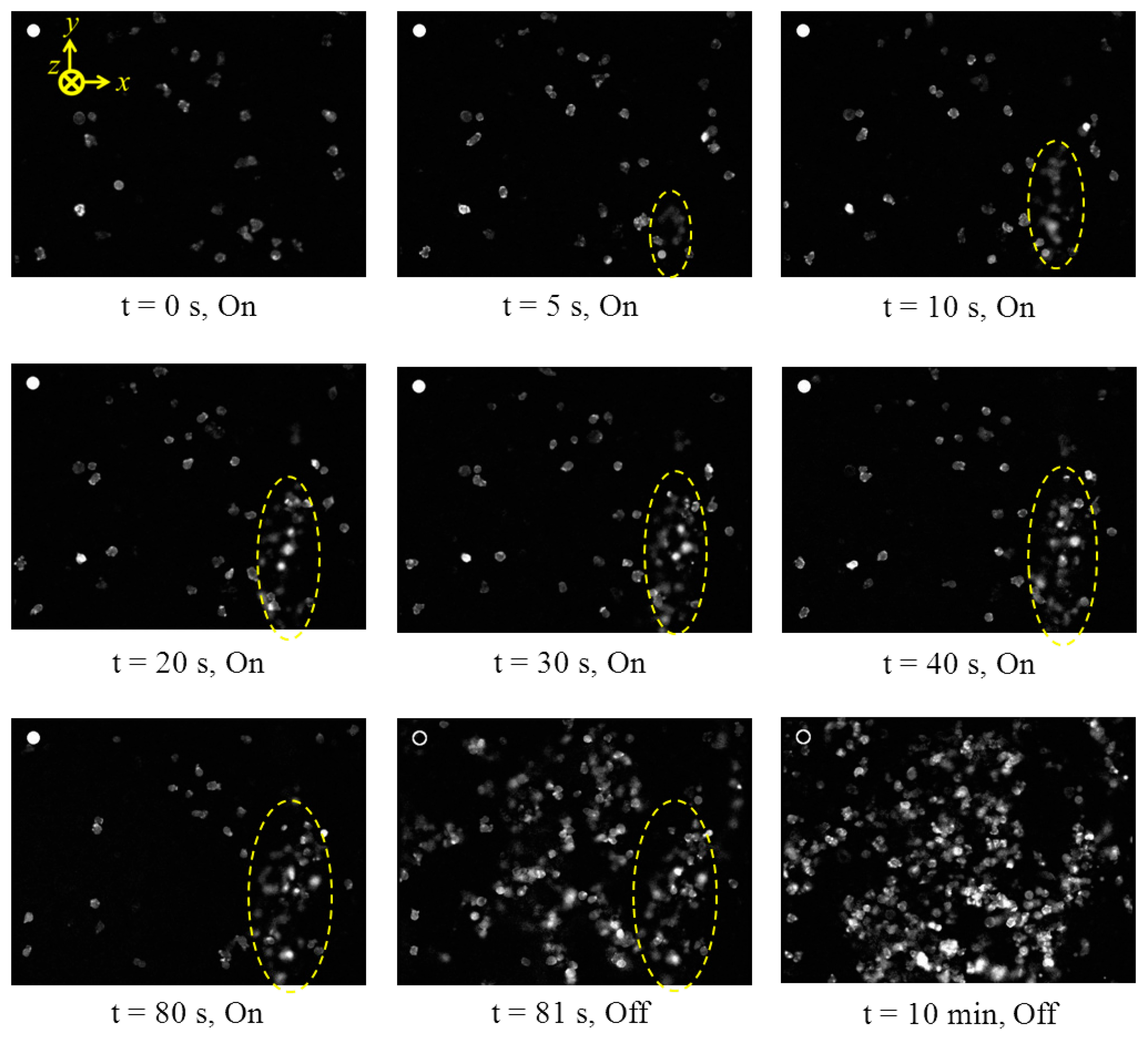 Sensors 14 14806f18 1024