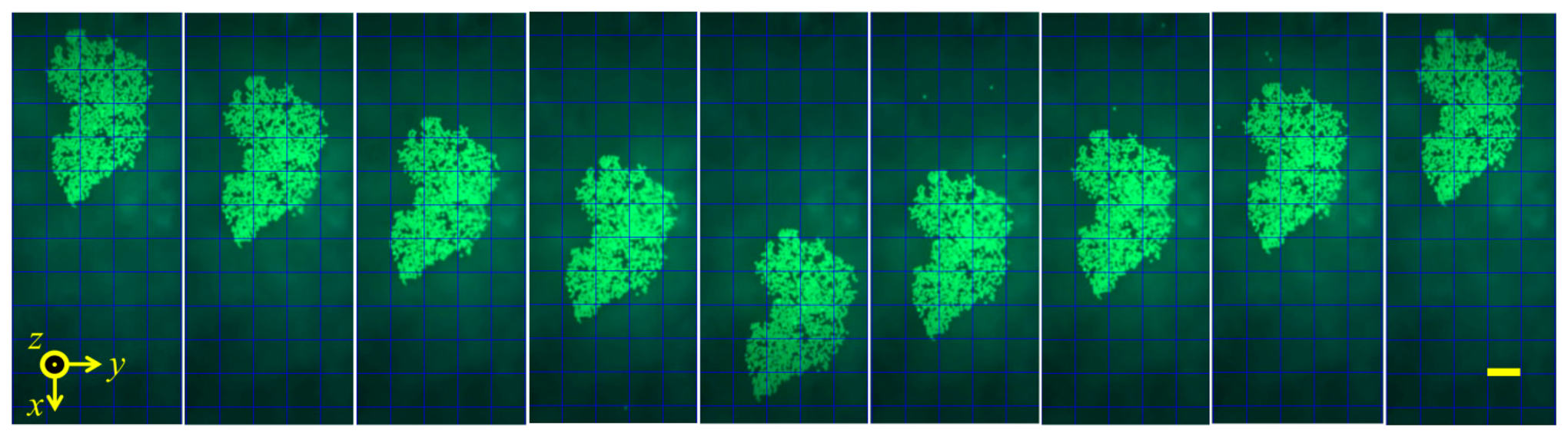 Sensors 14 14806f21 1024