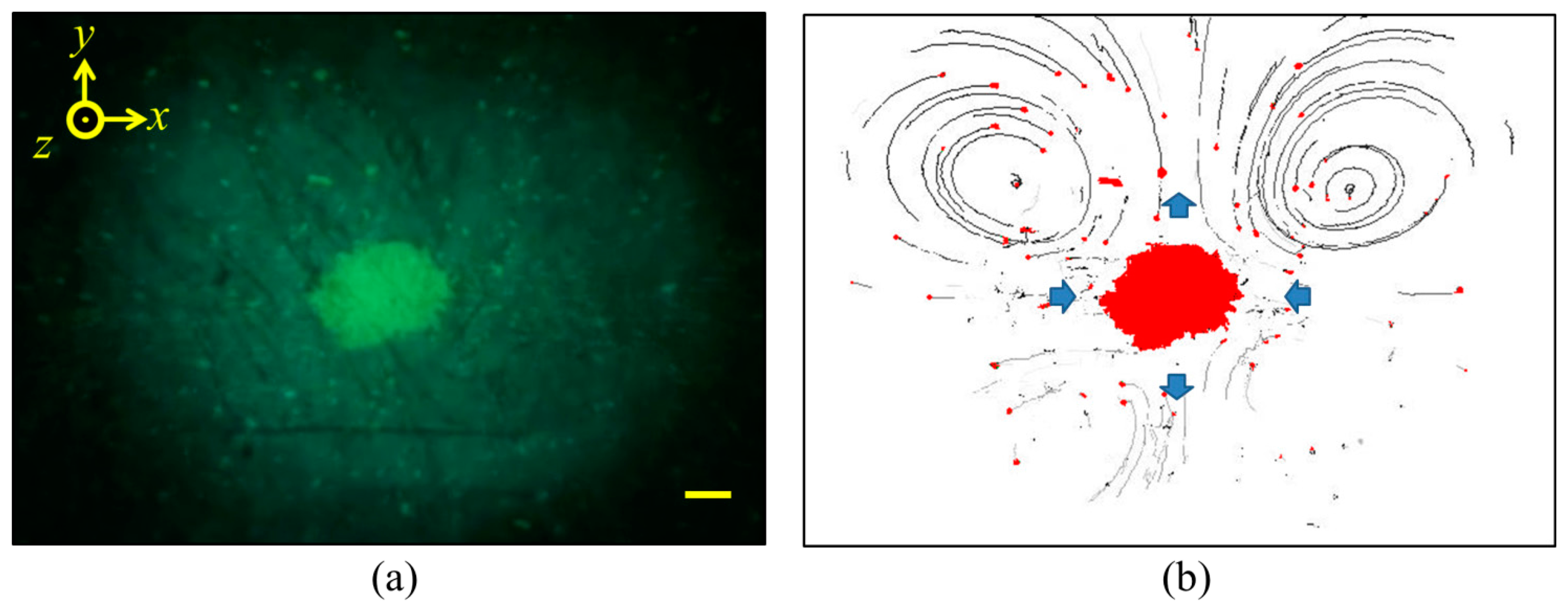 Sensors 14 14806f22 1024