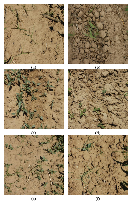 Sensors 14 15304f2 1024