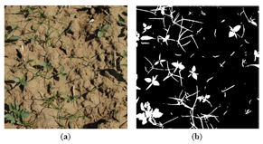 Sensors 14 15304f4 1024
