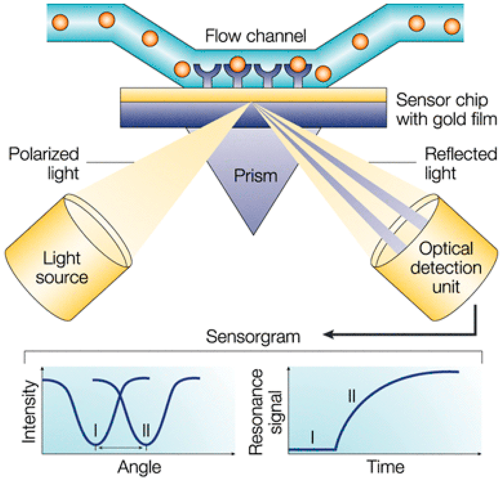 Sensors Free FullText Recent Developments in Optical Detection
