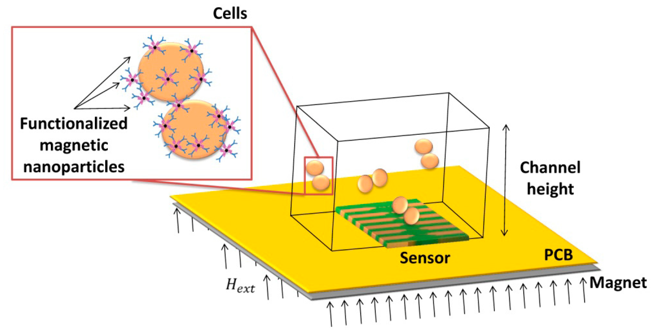 Pushing the limits by 'equal opportunity' design - CytoBuoy flow cytometry  solutions