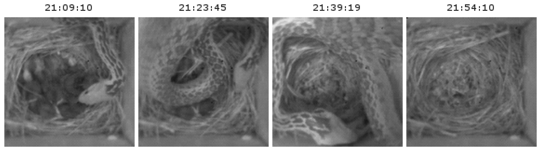 Sensors 14 15981f13 1024