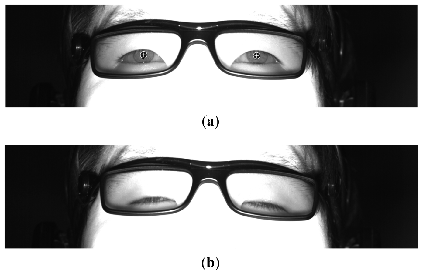 Sensors 14 16467f5 1024
