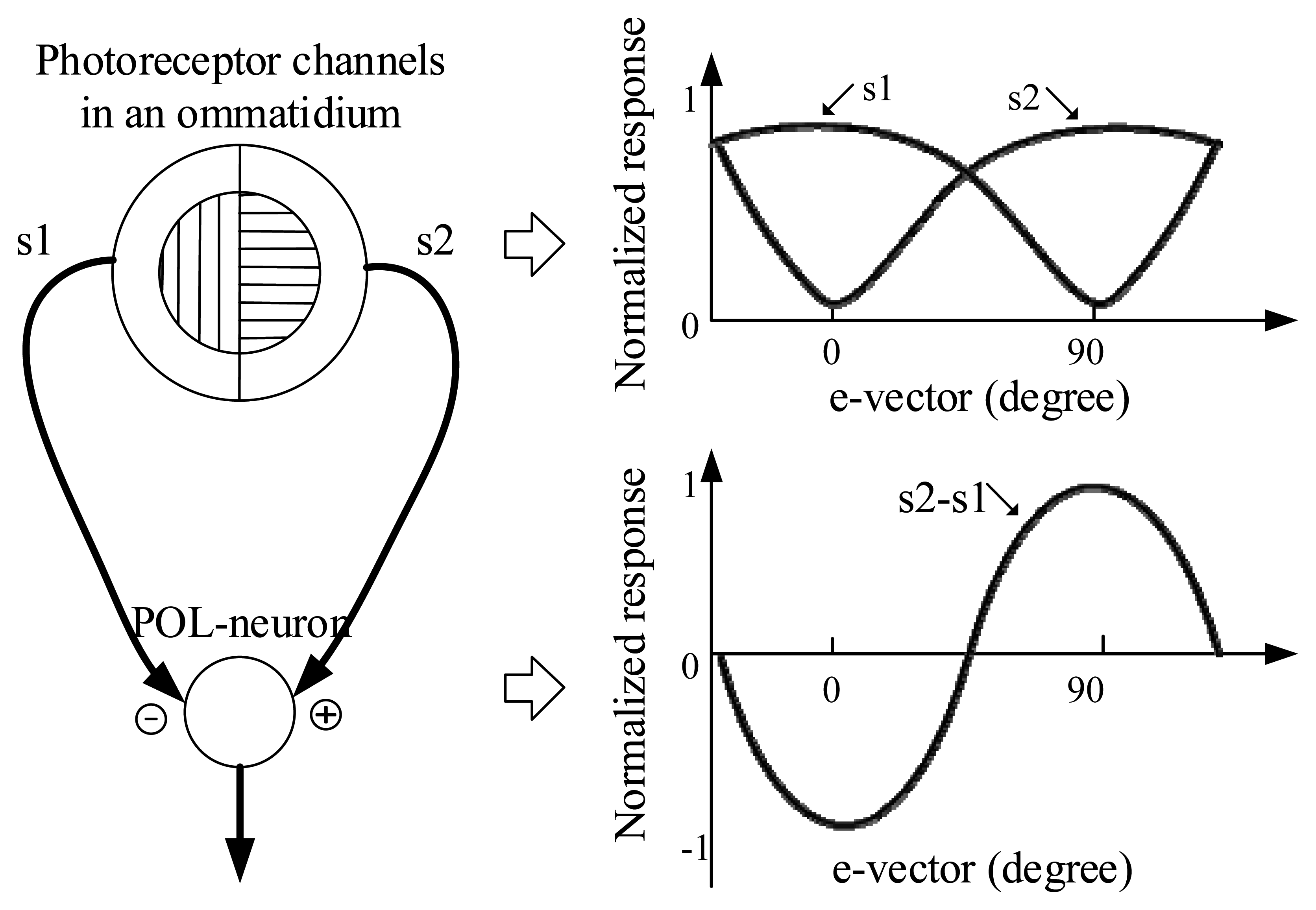 Sensors 14 17068f1 1024