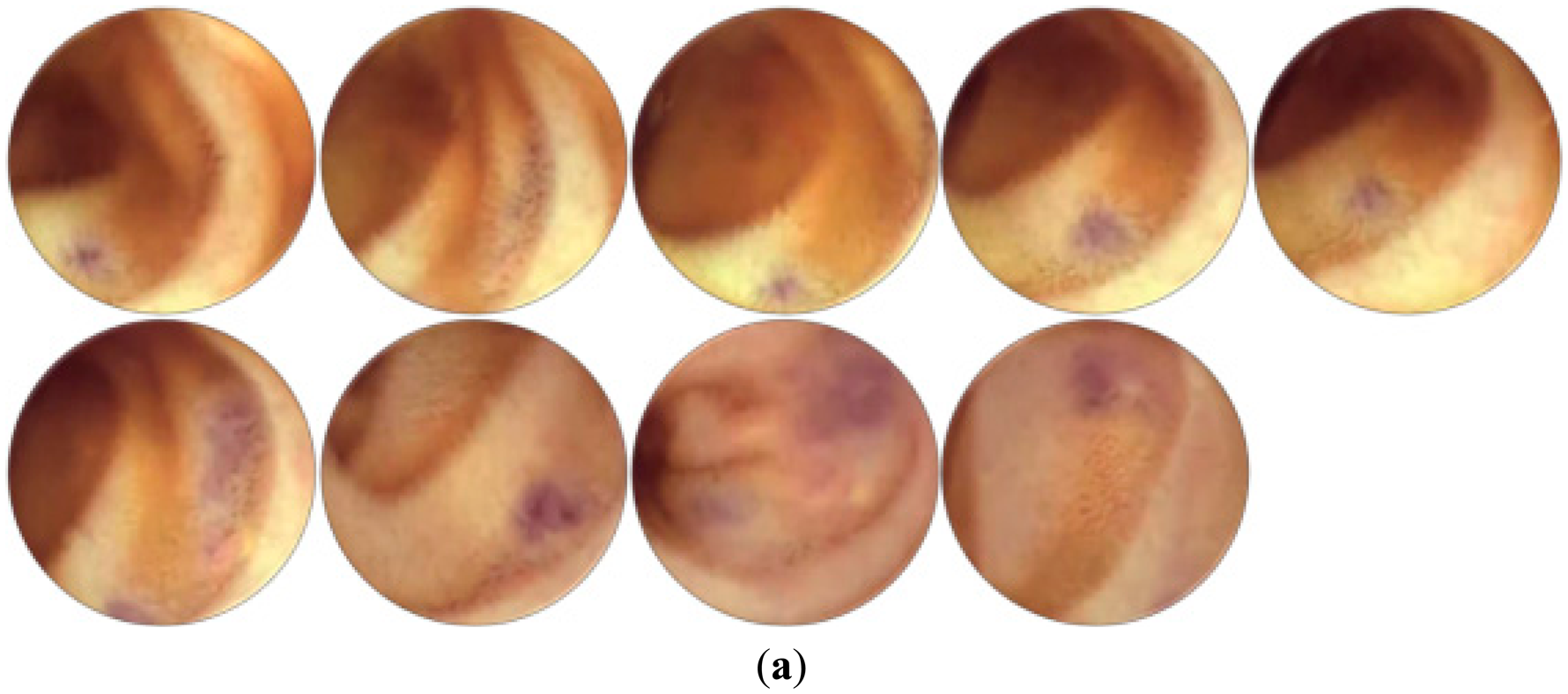 Sensors 14 17112f11a 1024
