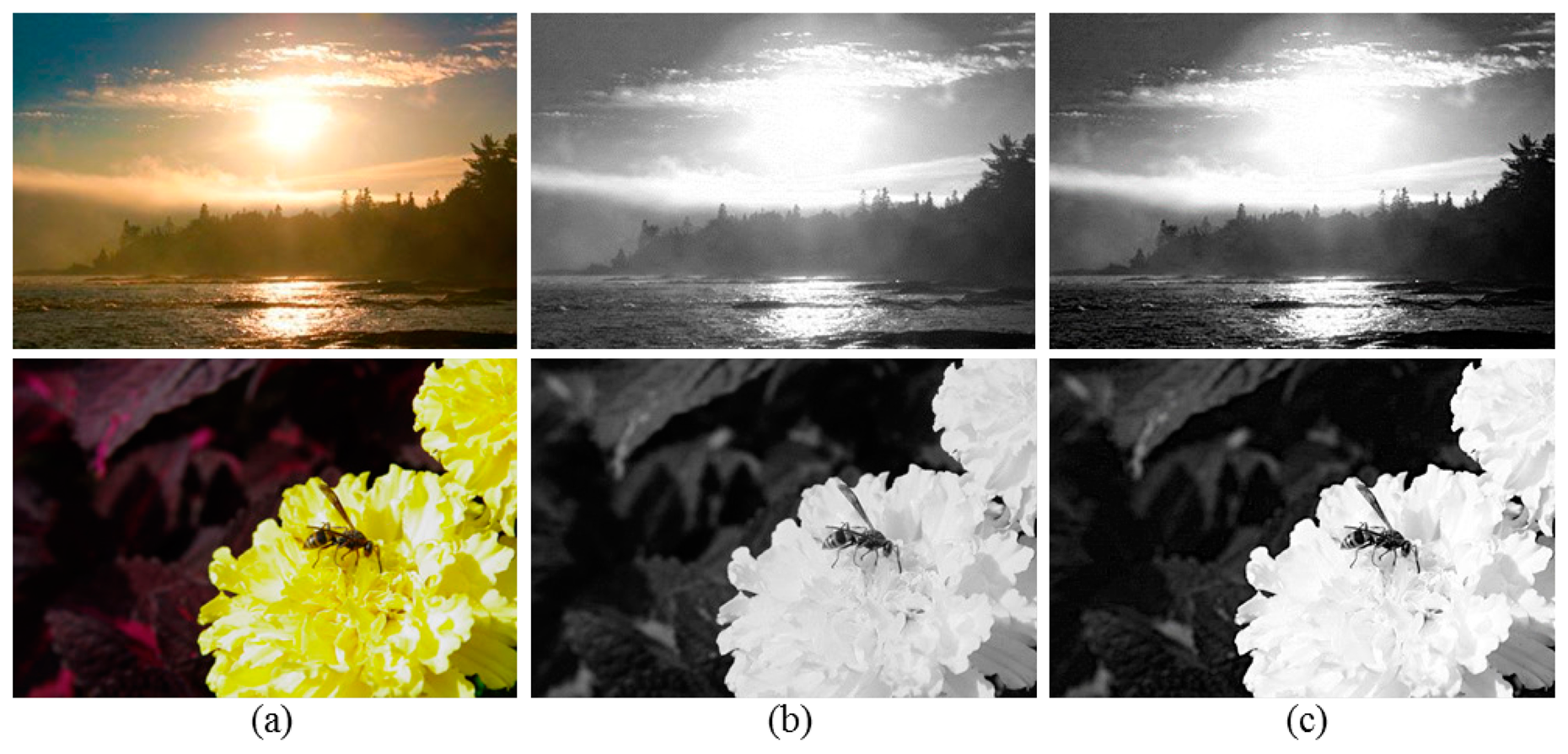 Sensors 14 17159f4 1024