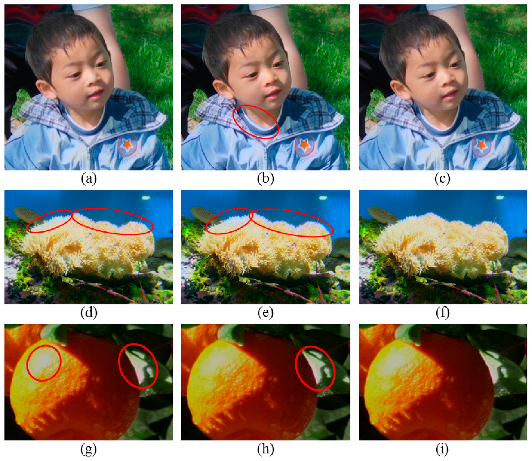 Sensors 14 17159f7 1024