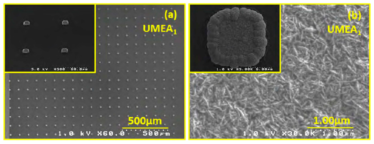 Sensors 14 17981f4 1024